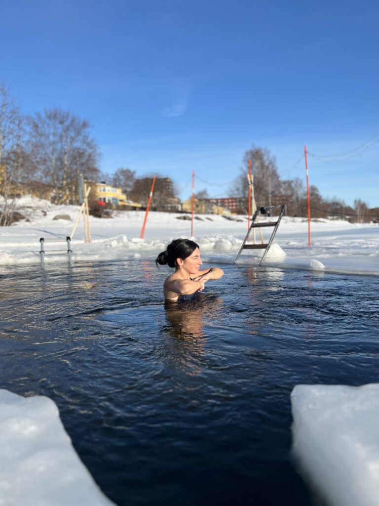 Retiro en el Ártico