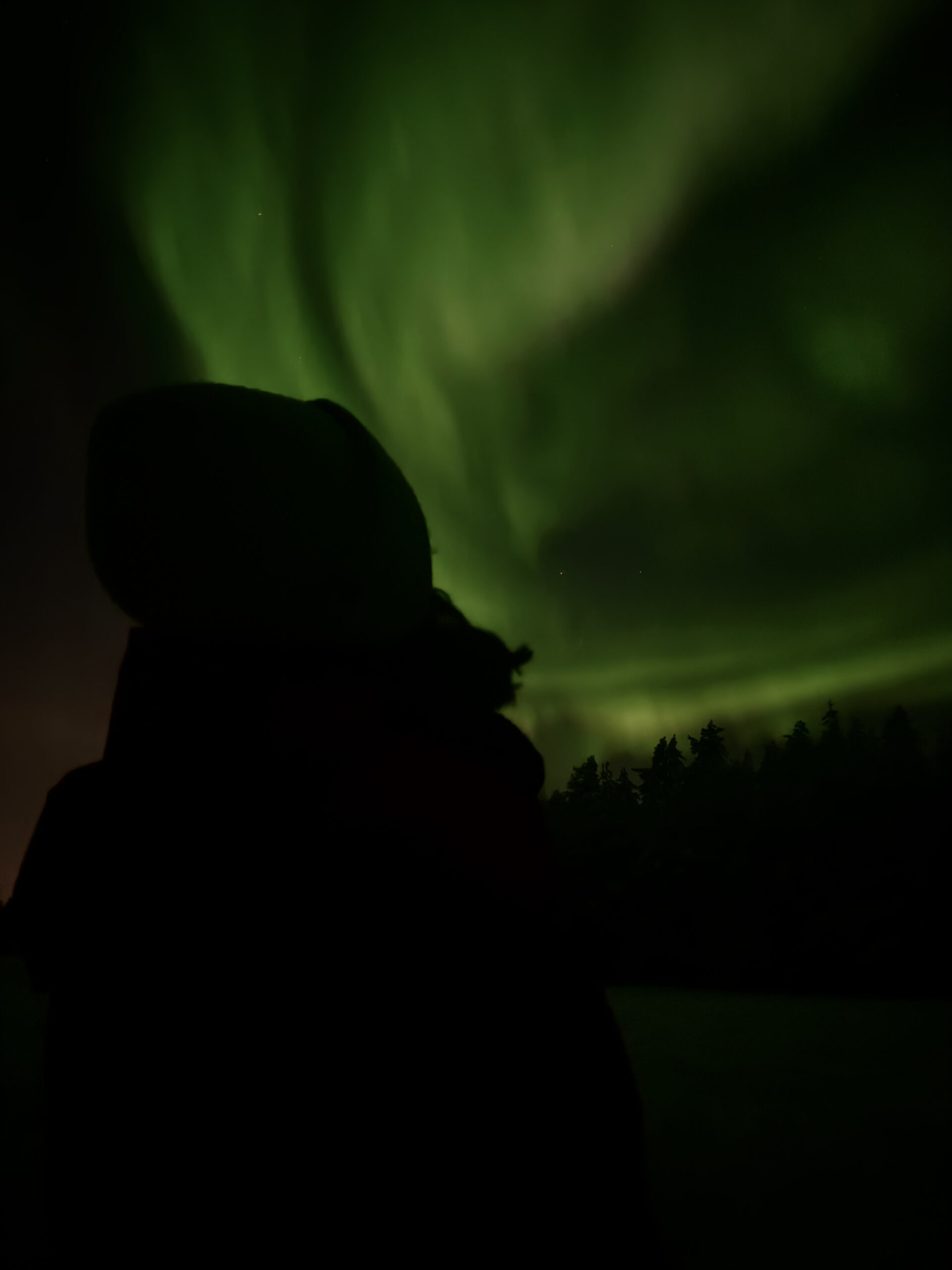 Aurora boreal sobre Laponia Sueca