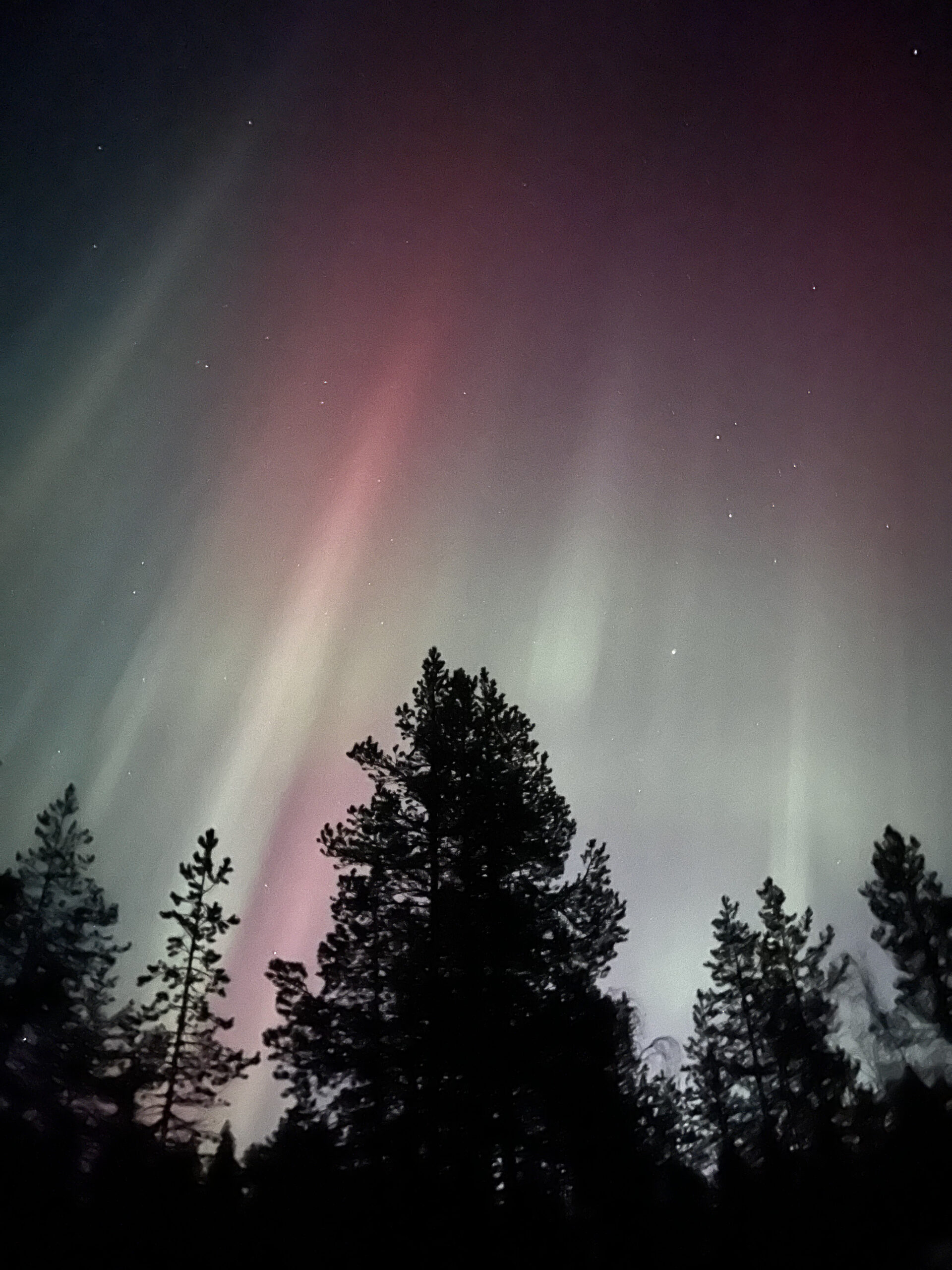 Aurora boreal sobre Laponia Sueca