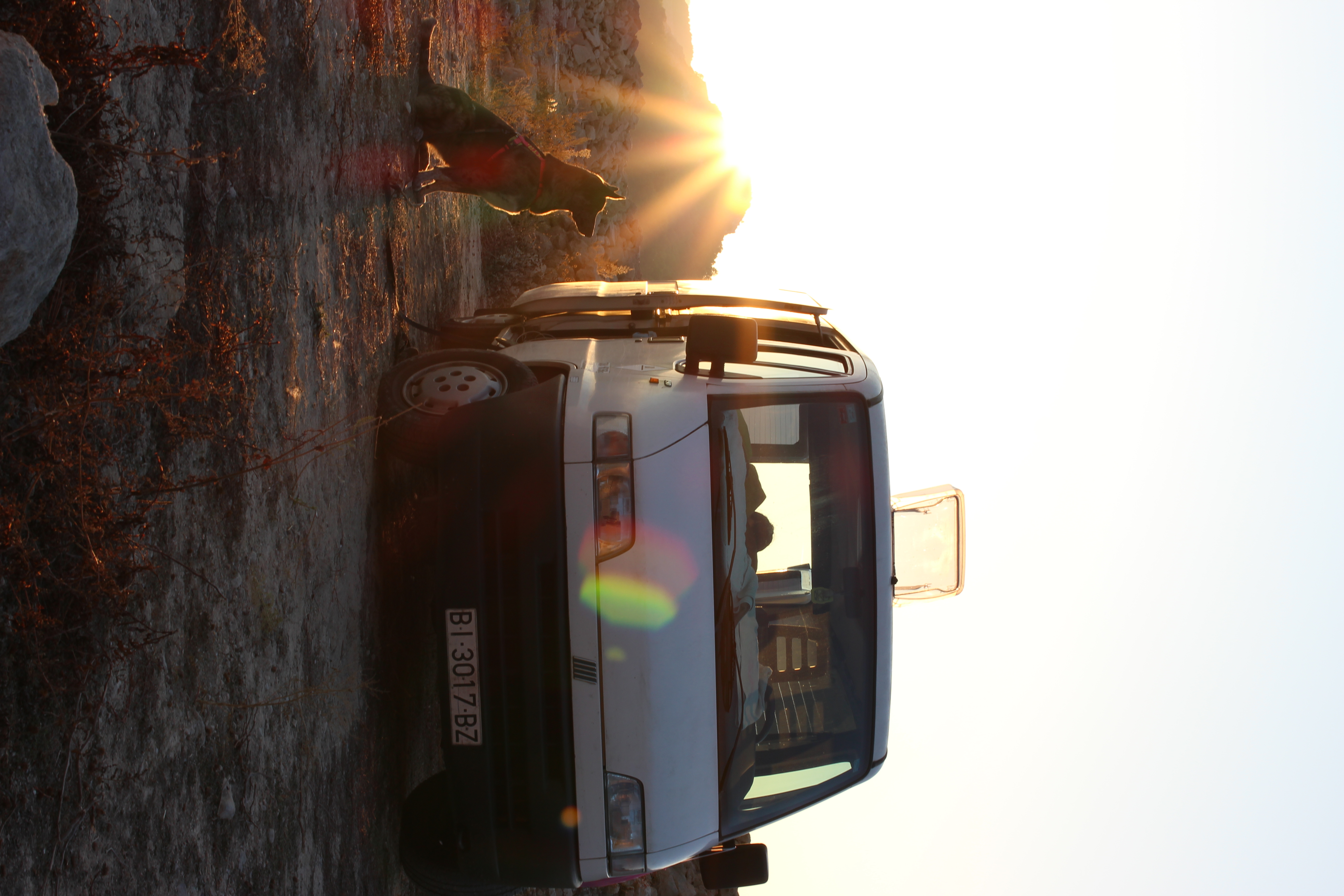 Furgoneta camper con perro al atardecer dorado