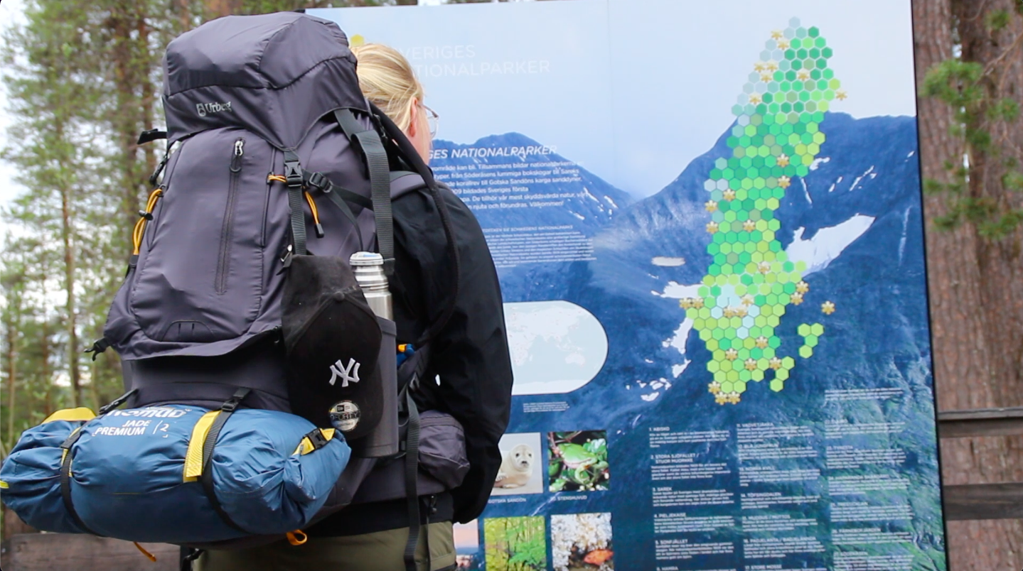 Mujer hike en parque natural sueco