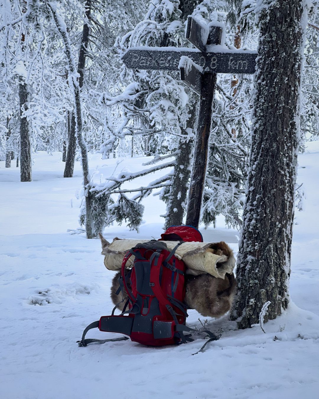 Mochila con piel de reno junto a señal de sendero nevado en Laponia